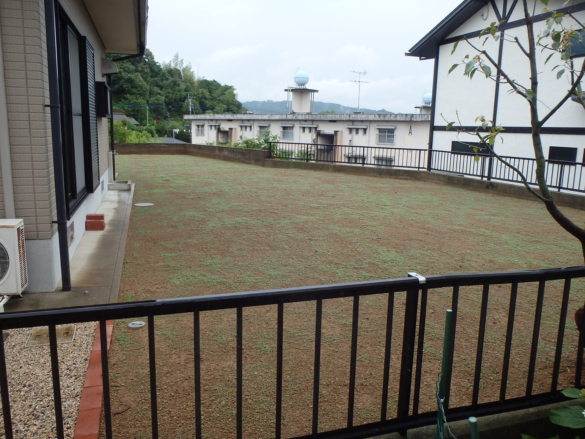 　122　広くスッキリしました、あくまでも自然な生芝重視です。