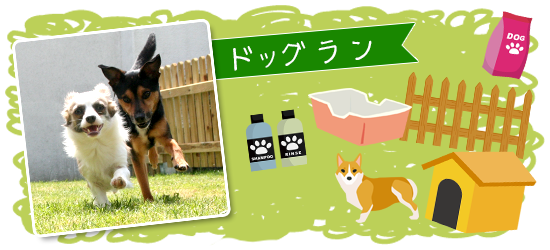 ドッグラン